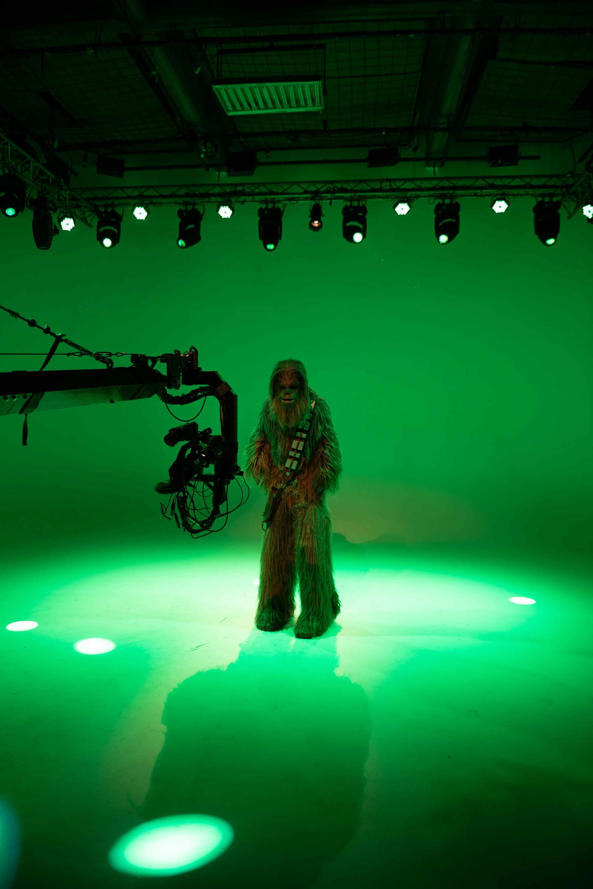 Immagine rappresentativa di VFX Artist